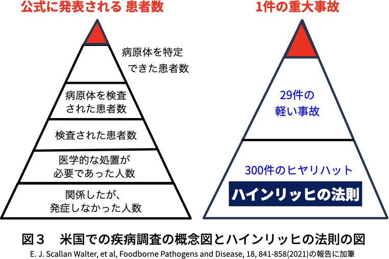 図３　米国での疾病調査の概念図とハインリッヒの法則の図